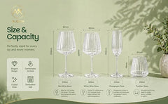 AK BLOOM ribbed glassware size and capacity guide featuring 530ml red wine glass, 500ml white wine glass, 220ml champagne flute and 300ml tumbler